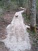 The Walking Thread - What Did You See The Last Time You Took Your Pup For A Walk?-001.jpg