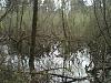 The Walking Thread - What Did You See The Last Time You Took Your Pup For A Walk?-004.jpg
