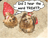 What does your furbaby seem to be saying?-img_2413.gif