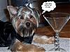 What does your furbaby seem to be saying?-cocktails.jpg