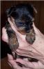 2 Weeks and counting-4-weeks1.jpg
