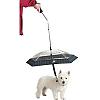 "I will NOT pee in the rain" what to do now...-pet_umbrella_handsnpaws.jpeg