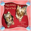 Happy birthday to Tucker!!!!-birthday-10.jpg