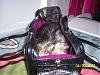 Chloe's new carrier.-102_1826.jpg