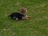 Playing while Mommy drudges in the yard-cold-april-07-babies-outside-002-568-x-426-.jpg