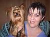 Yorkie of the day ....TARA-smaller.jpg