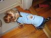 Rocky's New T-shirt from Poco Mutt-picture-004.jpg