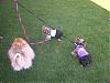 We got to go outside today!!!-outsideplay-013-600-x-450-.jpg