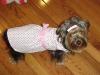 All dressed up! Show me your pics!-rosedress.jpg