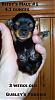 Teacup Yorkie Help-bitsys-male1-3wks.jpg