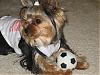 Maggie is ready for YT soccer!!! (pics)-img_9459.jpg