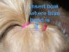 For those you that grow out your dogs hair...-bands222.jpg