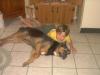 Very cute picture of my nephew and my big guy (rescued from pound)-5.jpg