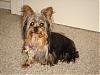 Need Pictures Quick!-sukoshis-second-groom.jpg