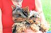 Patticake's YT Train Tracker....Lori is on her way!!!-1lg.jpg