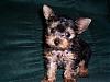 then and now-jake-8-wks-resized-.jpg