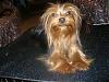 Nicky is missing.-nicky-jan-07-11-.jpg