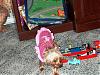 Patticake's YT Train Tracker....Lori is on her way!!!-yt-yorkie-trian-127.jpg