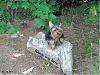 Patticake's YT Train Tracker....Lori is on her way!!!-rock1washere.jpg