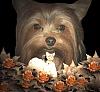 Patticake's YT Train Tracker....Lori is on her way!!!-rock1.jpg