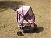 Take a look at this!! (Stroller)-mvc-063f.jpg