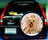 My Yorkie Car Sticker... Pls help me pick one-crvsticker7.jpg