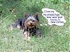 Patticake's YT Train Tracker....Lori is on her way!!!-grasstext3.jpg