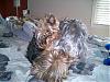 Do they normally show their teeth???-luigi-brasco-120.jpg