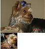 My baby is missing I need help!-compare.jpg