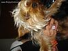 My baby is missing I need help!-faf1e9xl87-1-.jpg