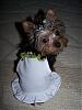 My baby is missing I need help!-paisley-noelle.jpg