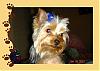 My baby is missing I need help!-attachment-4.jpg
