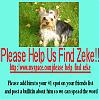 Please Help Zeke!-findzeke.jpg