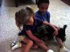 Small breeds and kids don't mix?-mvc-015s.jpg