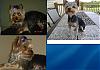 My baby is missing I need help!-comparison2.jpg