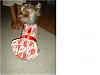 Tinkerbell in her new dresses I made for her!!!-r17.jpg