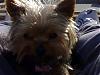 Hi All, New to the site!!!-sparkey-2-.jpg