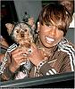 What Celebrity do you know has a Yorkie??-missy_yorkie.jpg