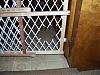 Puppy Prison Break-crime-scene-photo2.jpg