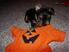 BUSTED pictures...-tedes-hallaween.jpg