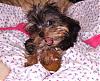 Cute pics of my new little Girl Mattie!-image00003.jpg