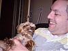 Smiling Yorkies Pictures-p4030204.jpg
