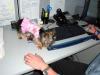 Chloe visited Daddy at work today-chloe-daddys-work.jpg