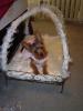 She's fit for a princess!!-new-bed-004-250-x-333-.jpg