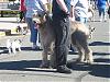 We went to the Because your dog is Worth it too Event!-picture-004.jpg