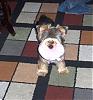 We went to the Because your dog is Worth it too Event!-hpim1276.jpg