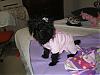 Tink has suitors!-pjs-5.jpg
