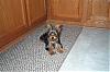 Hi Iam New-tucker_and_molly_8_10_07_001-medium-web-view.jpg