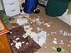 Booo, look what he did!-wrecked-room.jpg