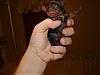 We Have Puppies!!!!!!!-monkey-005-600-x-450-.jpg